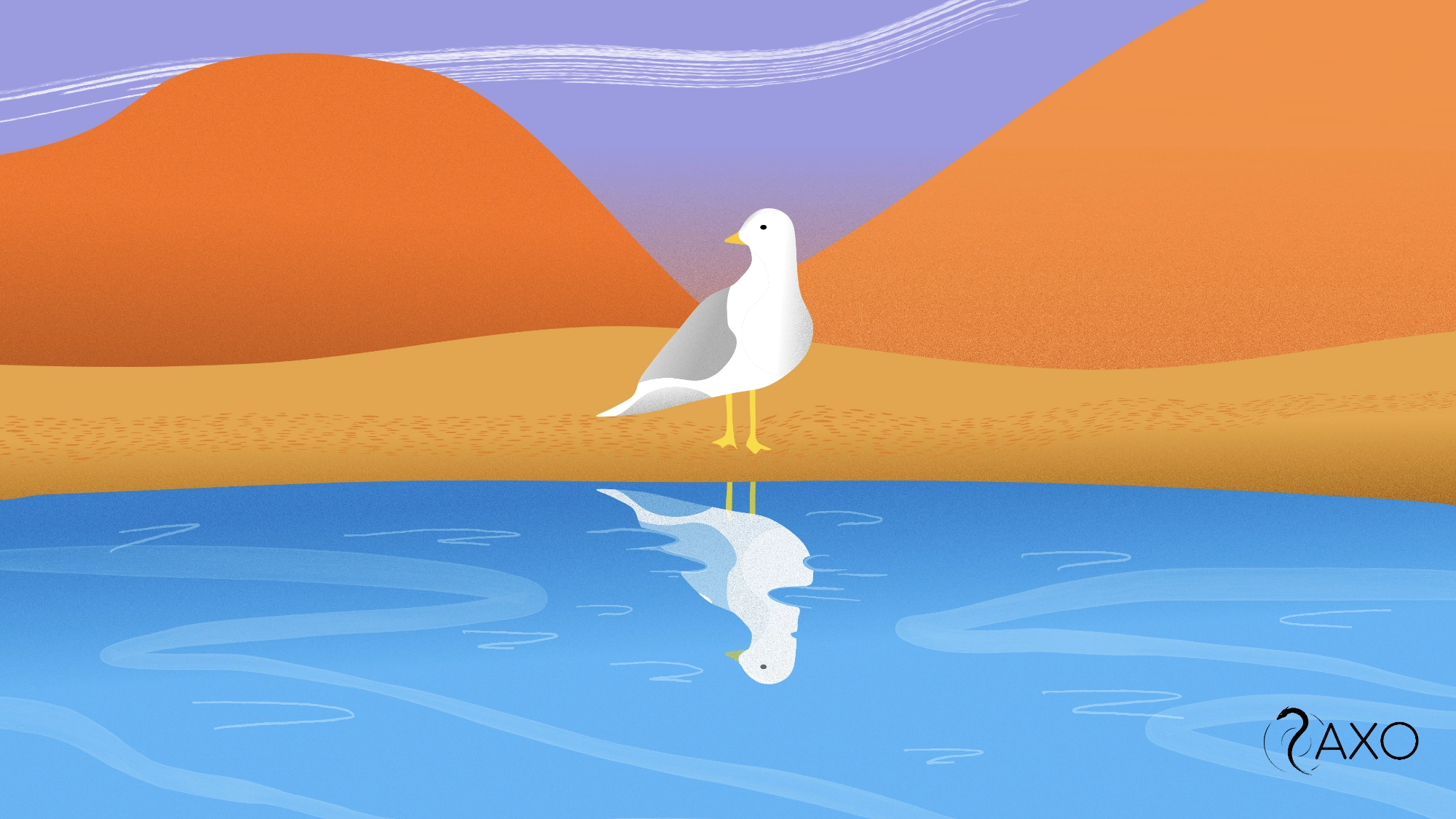 Diseño 4