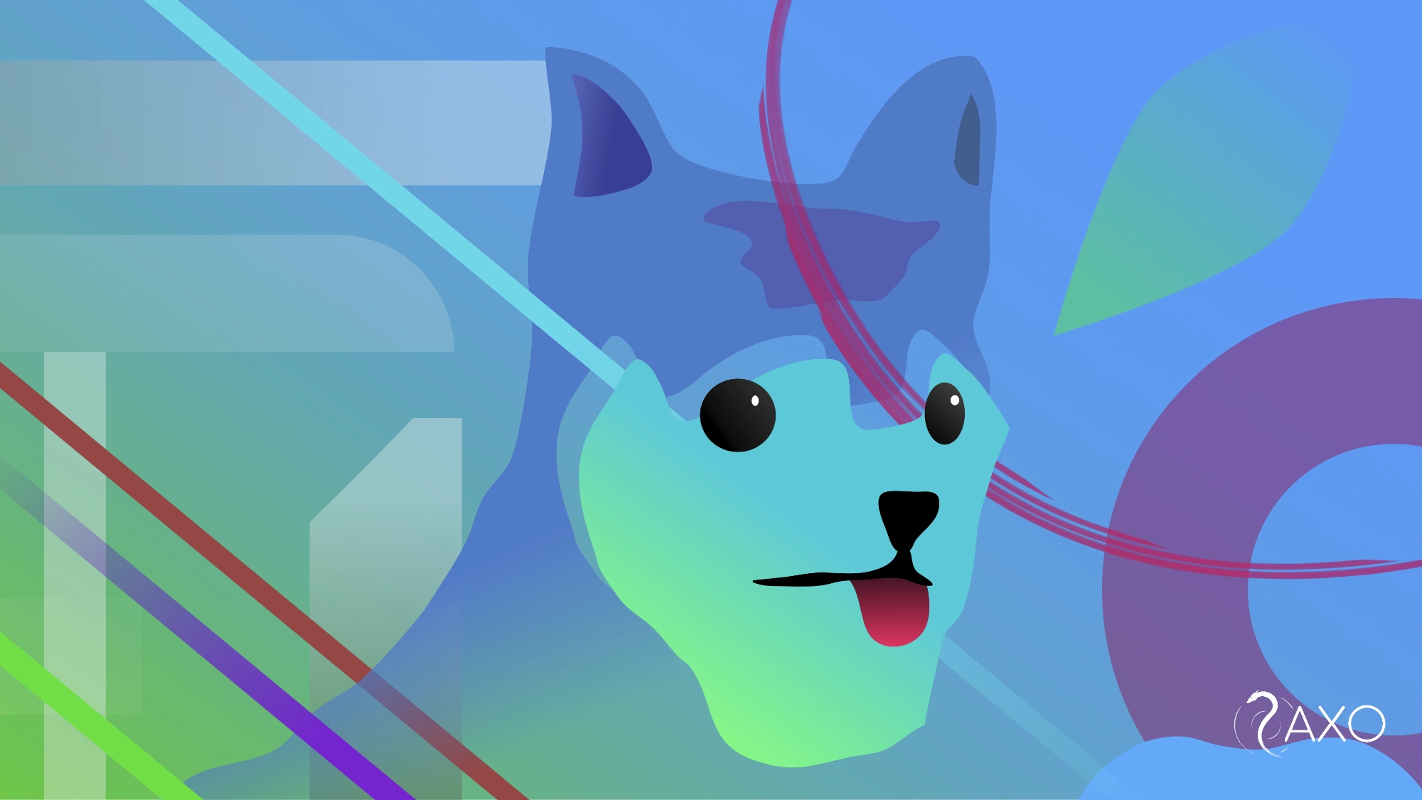 Diseño 5